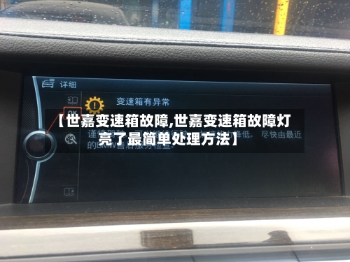 【世嘉变速箱故障,世嘉变速箱故障灯亮了最简单处理方法】