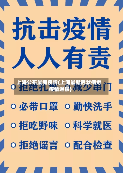 上海公布最新疫情(上海最新冠状病毒疫情通报)-第2张图片