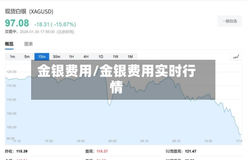 金银费用/金银费用实时行情