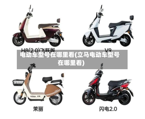 电动车型号在哪里看(立马电动车型号在哪里看)