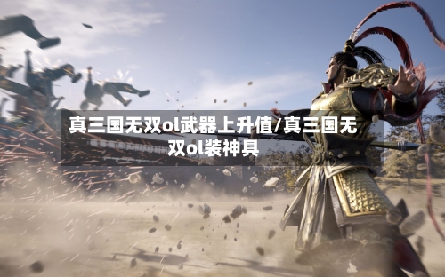 真三国无双ol武器上升值/真三国无双ol装神具