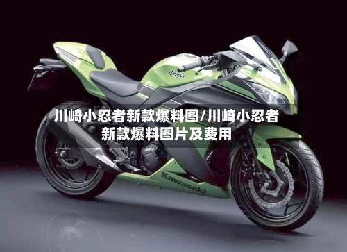 川崎小忍者新款爆料图/川崎小忍者新款爆料图片及费用-第1张图片