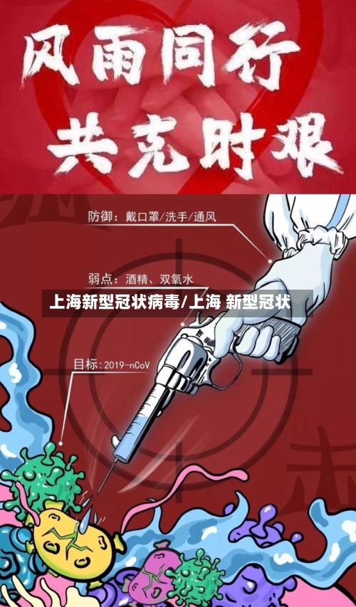 上海新型冠状病毒/上海 新型冠状