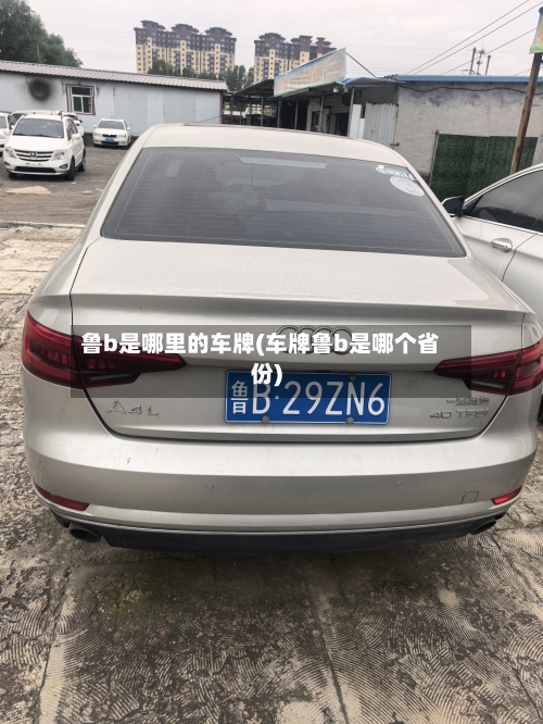 鲁b是哪里的车牌(车牌鲁b是哪个省份)-第2张图片