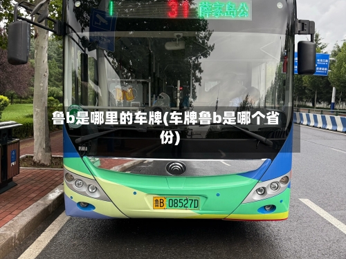 鲁b是哪里的车牌(车牌鲁b是哪个省份)