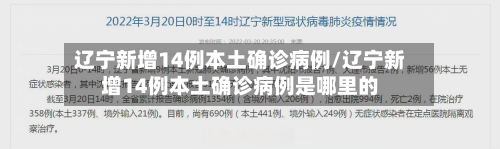 辽宁新增14例本土确诊病例/辽宁新增14例本土确诊病例是哪里的