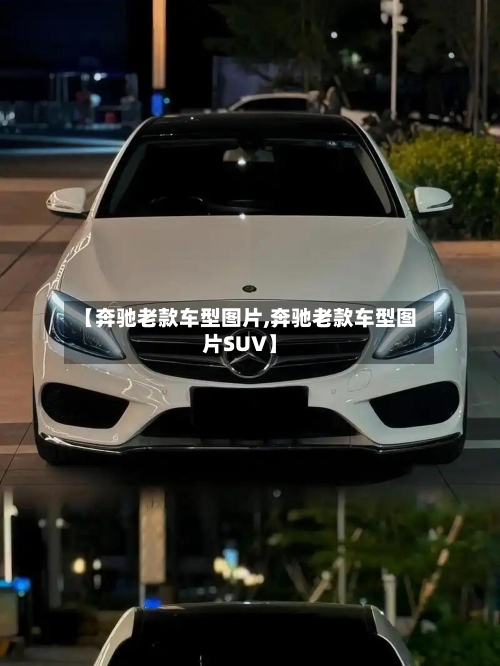 【奔驰老款车型图片,奔驰老款车型图片SUV】-第2张图片