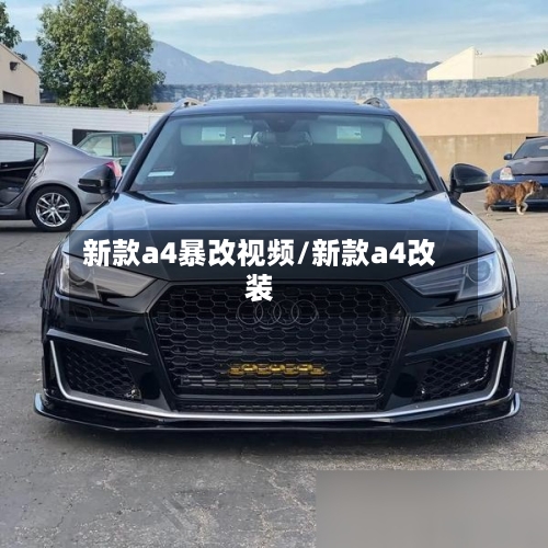 新款a4暴改视频/新款a4改装
