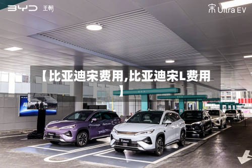 【比亚迪宋费用,比亚迪宋L费用】