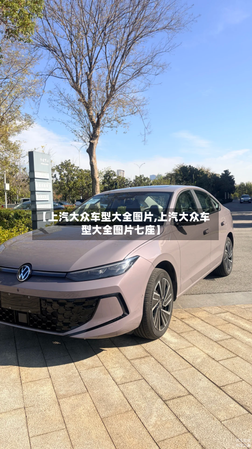 【上汽大众车型大全图片,上汽大众车型大全图片七座】-第3张图片