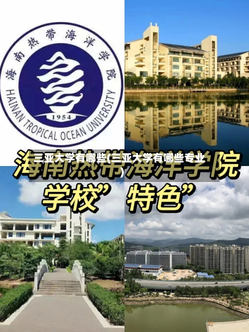 三亚大学有哪些(三亚大学有哪些专业)-第1张图片