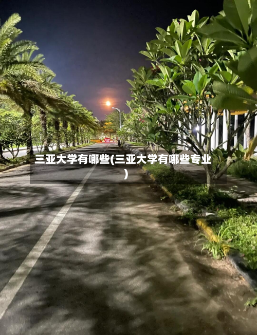 三亚大学有哪些(三亚大学有哪些专业)-第3张图片