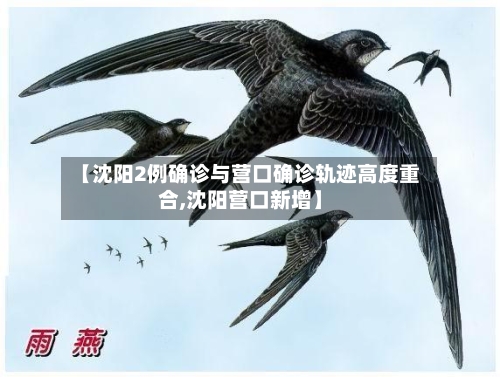 【沈阳2例确诊与营口确诊轨迹高度重合,沈阳营口新增】-第1张图片