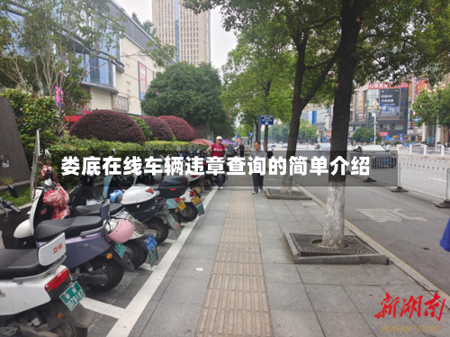 娄底在线车辆违章查询的简单介绍-第2张图片