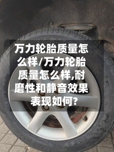 万力轮胎质量怎么样/万力轮胎质量怎么样,耐磨性和静音效果表现如何?-第3张图片