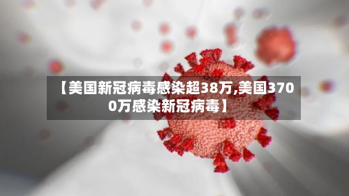 【美国新冠病毒感染超38万,美国3700万感染新冠病毒】-第2张图片