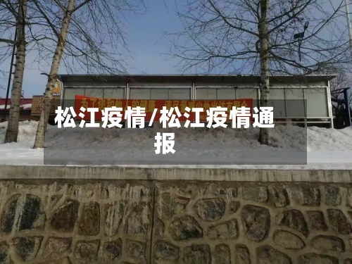 松江疫情/松江疫情通报-第2张图片