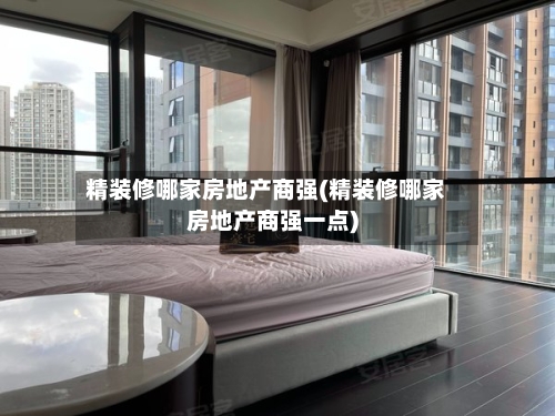 精装修哪家房地产商强(精装修哪家房地产商强一点)-第2张图片