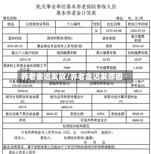 养老金迟发放/养老金迟发原因-第1张图片