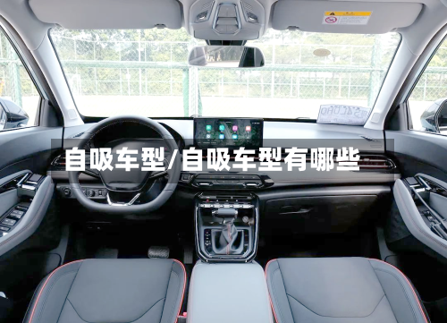 自吸车型/自吸车型有哪些-第1张图片