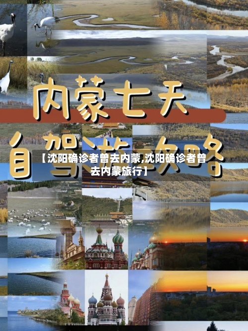【沈阳确诊者曾去内蒙,沈阳确诊者曾去内蒙旅行】