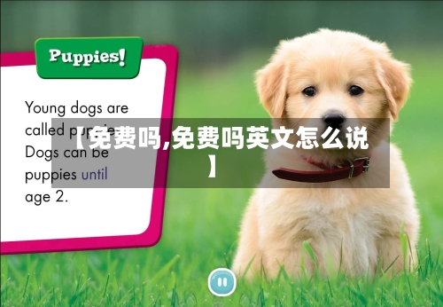 【免费吗,免费吗英文怎么说】