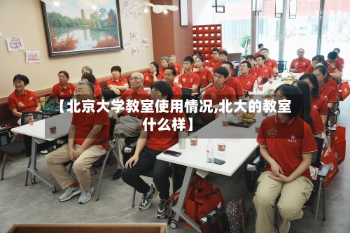 【北京大学教室使用情况,北大的教室什么样】-第3张图片