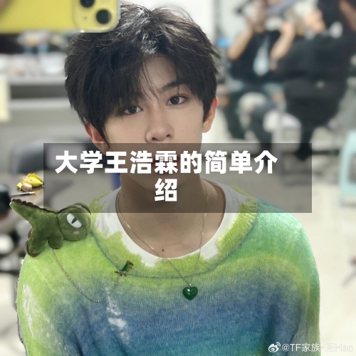 大学王浩霖的简单介绍-第1张图片