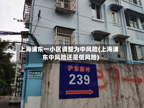上海浦东一小区调整为中风险(上海浦东中风险还是低风险)-第2张图片