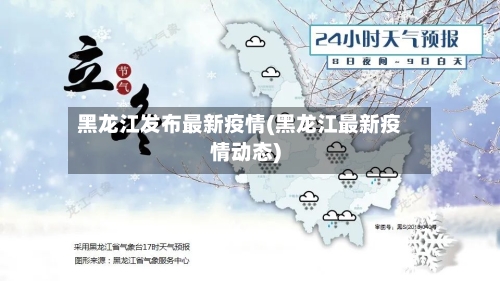 黑龙江发布最新疫情(黑龙江最新疫情动态)-第2张图片
