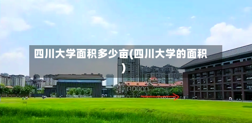 四川大学面积多少亩(四川大学的面积)-第3张图片