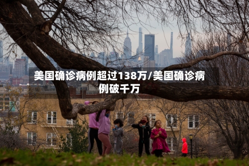 美国确诊病例超过138万/美国确诊病例破千万-第3张图片