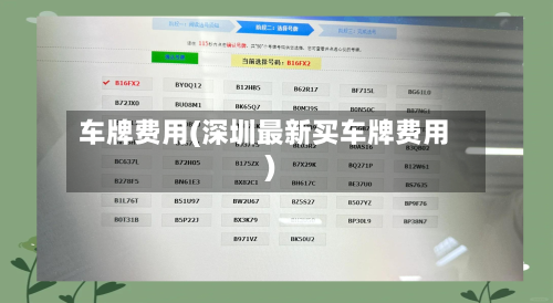 车牌费用(深圳最新买车牌费用)-第1张图片