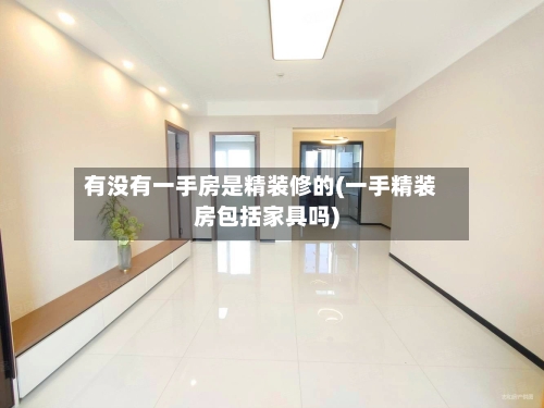 有没有一手房是精装修的(一手精装房包括家具吗)-第1张图片