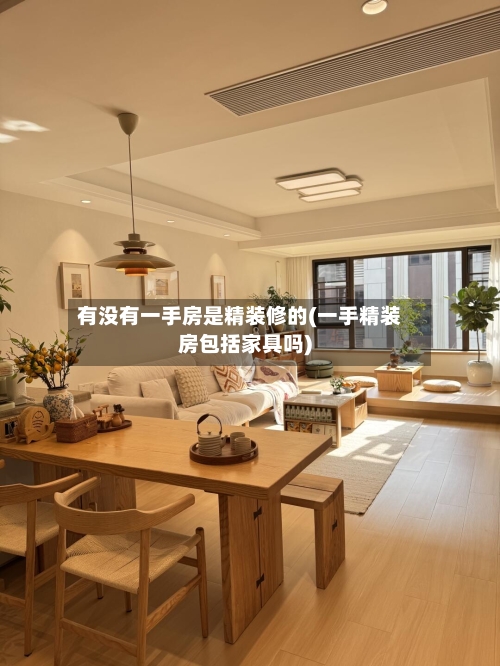 有没有一手房是精装修的(一手精装房包括家具吗)-第2张图片
