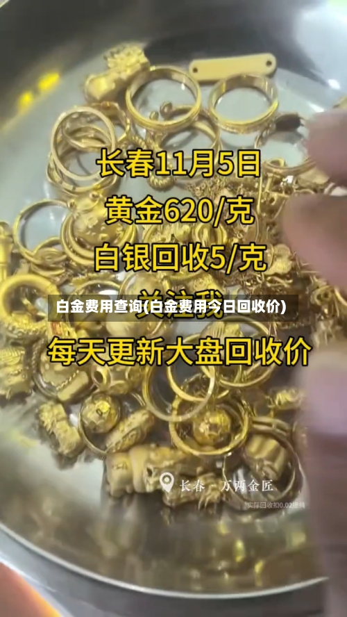 白金费用查询(白金费用今日回收价)-第1张图片