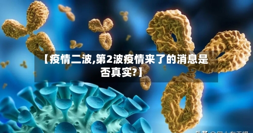 【疫情二波,第2波疫情来了的消息是否真实?】-第1张图片