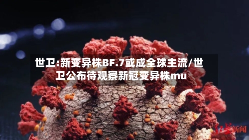 世卫:新变异株BF.7或成全球主流/世卫公布待观察新冠变异株mu-第3张图片