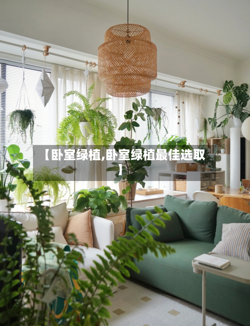 【卧室绿植,卧室绿植最佳选取】-第2张图片