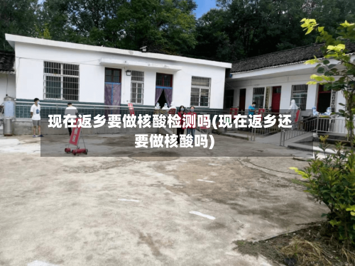 现在返乡要做核酸检测吗(现在返乡还要做核酸吗)