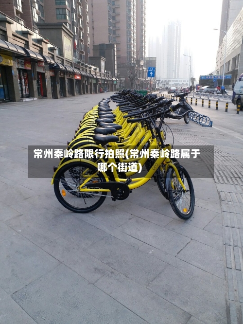 常州秦岭路限行拍照(常州秦岭路属于哪个街道)-第2张图片