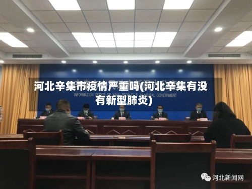 河北辛集市疫情严重吗(河北辛集有没有新型肺炎)
