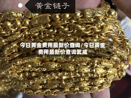 今日黄金费用最新价查询/今日黄金费用最新价查询武威-第1张图片