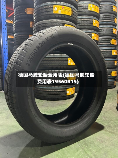 德国马牌轮胎费用表(德国马牌轮胎费用表19560R15)-第2张图片