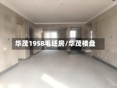 华茂1958毛坯房/华茂楼盘-第1张图片