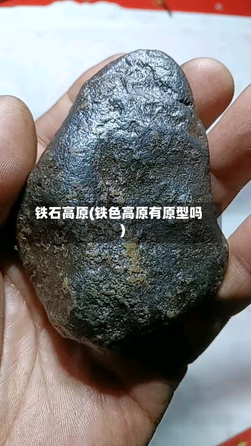 铁石高原(铁色高原有原型吗)-第1张图片