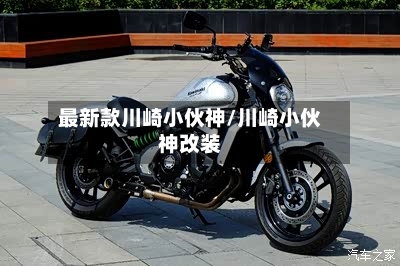 最新款川崎小伙神/川崎小伙神改装-第3张图片