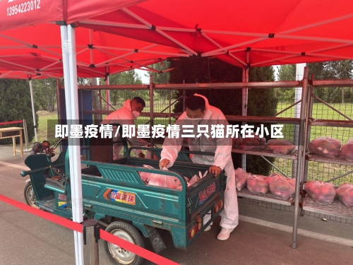 即墨疫情/即墨疫情三只猫所在小区-第3张图片