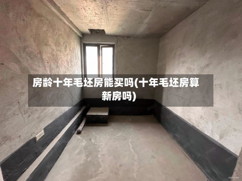 房龄十年毛坯房能买吗(十年毛坯房算新房吗)-第1张图片