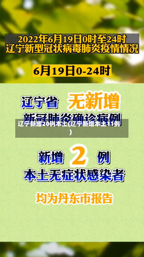辽宁新增20例本土(辽宁新增本土11例)-第1张图片